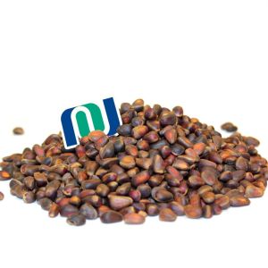 кедровые орехи